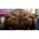 Bulking steroids for sale